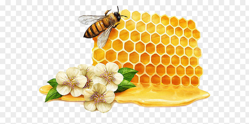 Honey Flowers Creative Tea Mu0101nuka Bee Manuka PNG