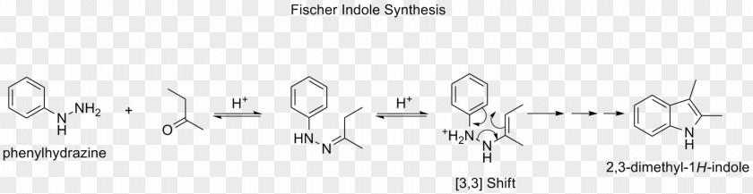 Image File Formats Document Chan-Lam Coupling TIFF PNG