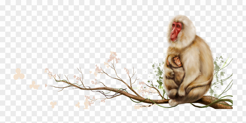 Mother Monkey Sitting On Tree Branch PNG