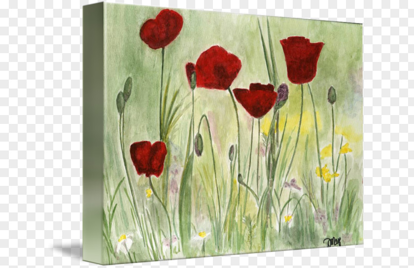 Red Poppy Flower Watercolor Painting Acrylic Paint PNG