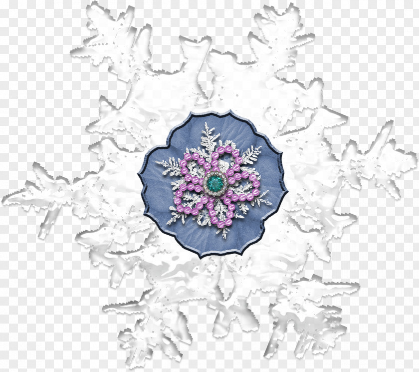 Snow And Ice Petal Floral Design Visual Arts PNG