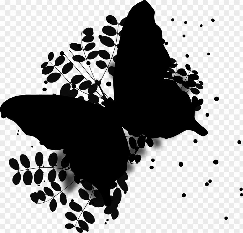 Wing Organism Moths And Butterflies PNG
