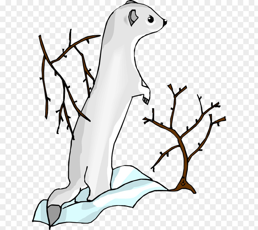 Otter Cliparts Stoat Clip Art PNG