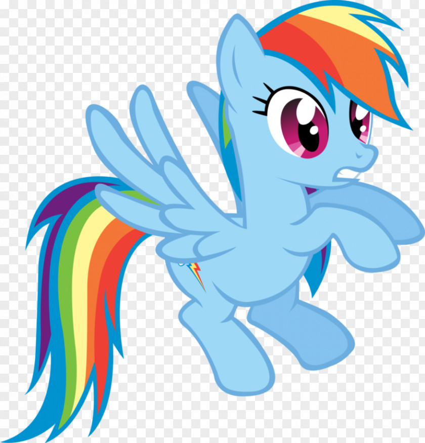 Rainbow Pony Dash PNG