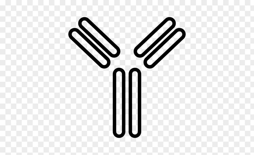 T Independent Antigen Architecture Antibody Line PNG
