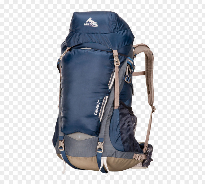 Backpack Backpacking Bag Savant Syndrome Travel PNG