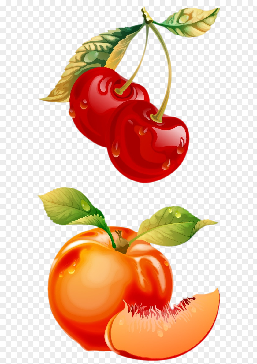 Color Cherry Free Content Clip Art PNG