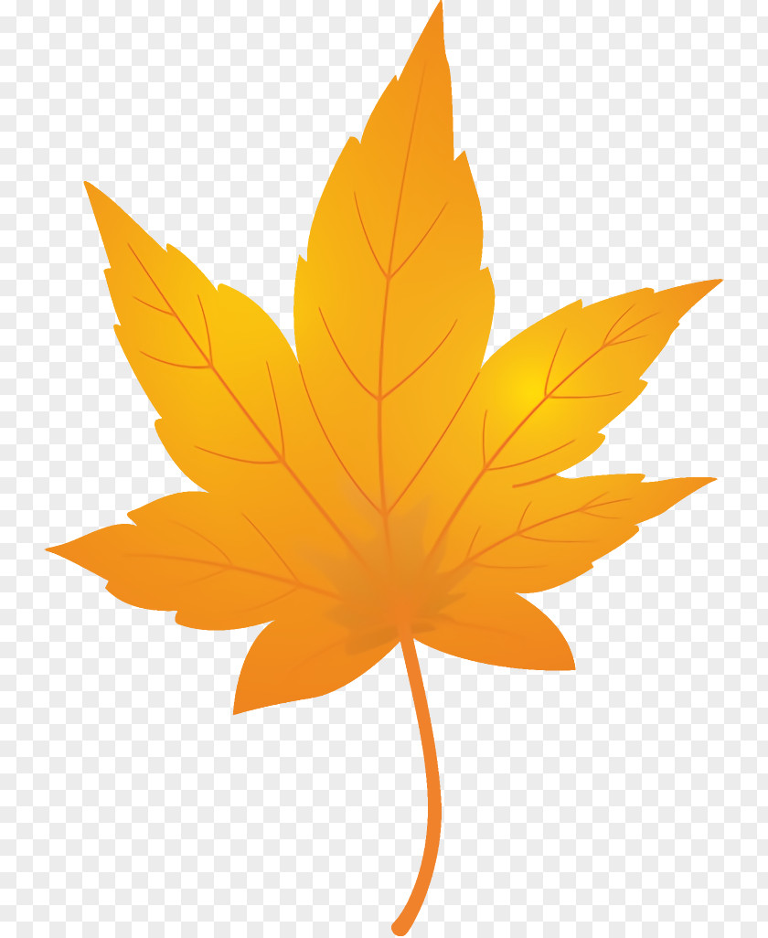 Maple Plane Leaf Autumn Yellow PNG