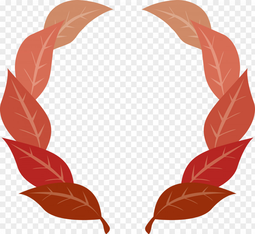 Nature Frame Flower Leaf PNG