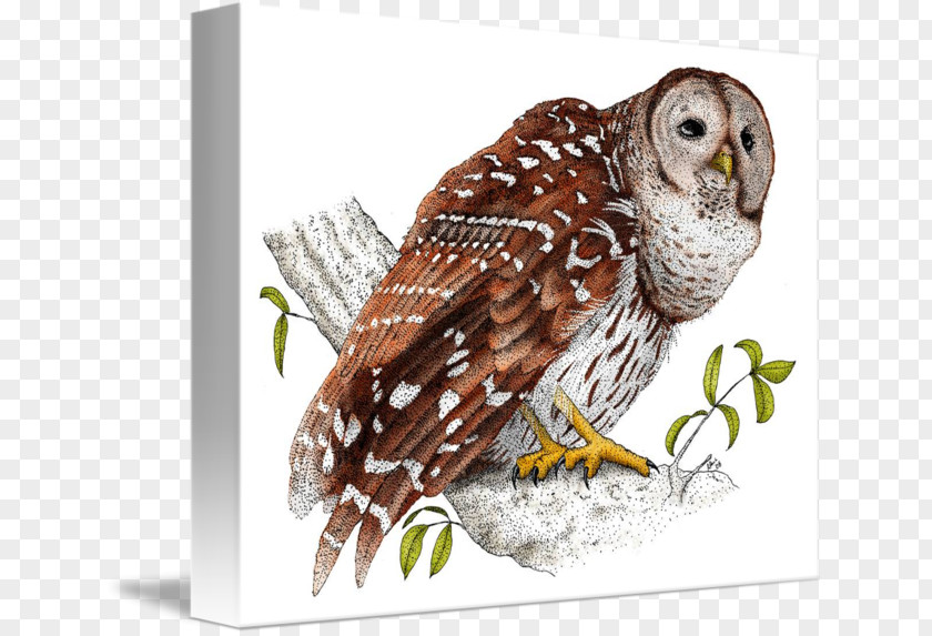 Barred Owl Beak Hawk Mug PNG