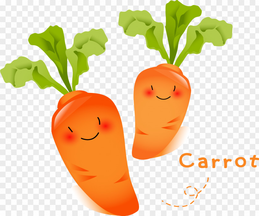 Carrot Vegetable Radish Food Fruit PNG