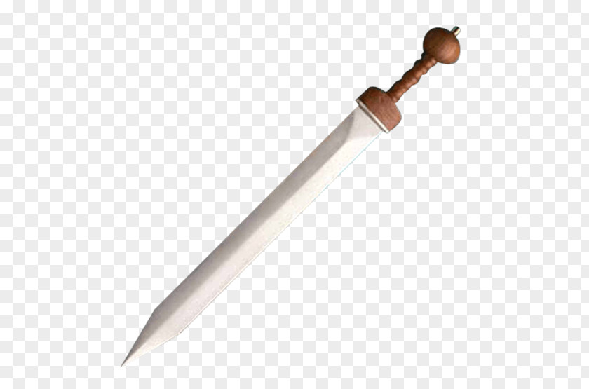 Gladiator Ancient Rome Gladius Spatha Sword PNG