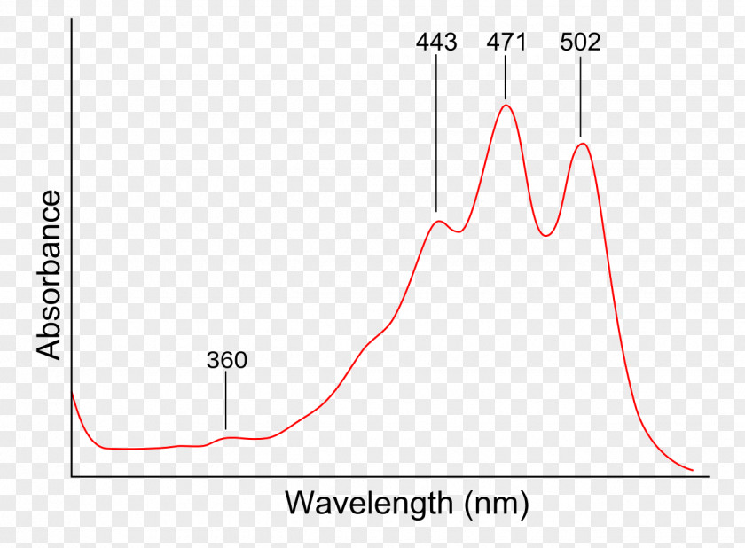 Light Ultraviolet–visible Spectroscopy Organic PNG