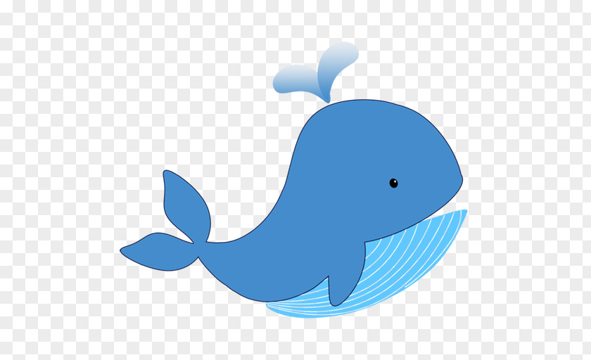 Minke Whale Dolphin Options Strategies Trade Cetaceans 079905 PNG