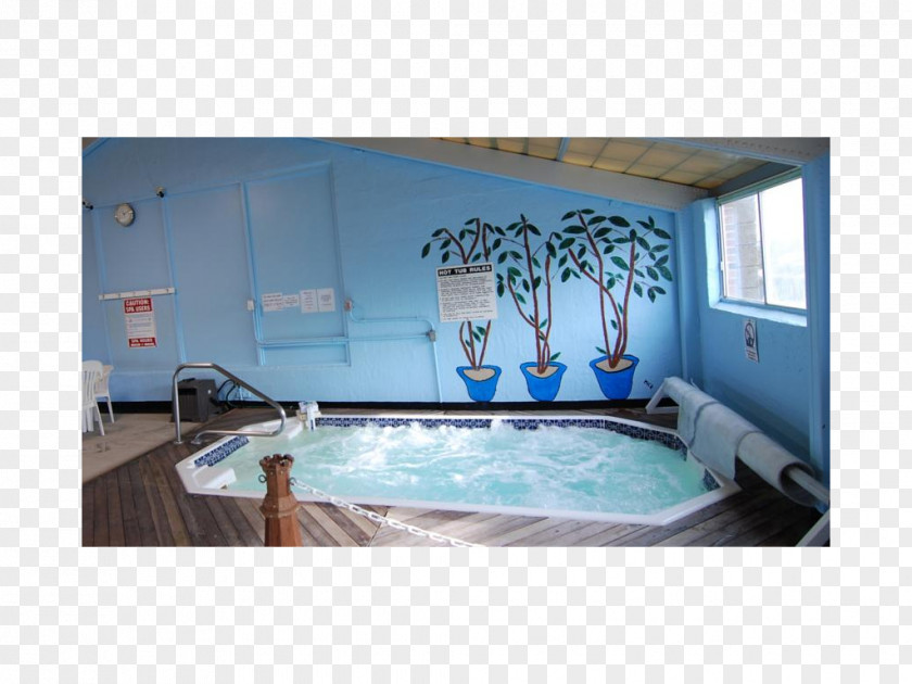 Water Swimming Pool Leisure Centre Property Interior Design Services PNG