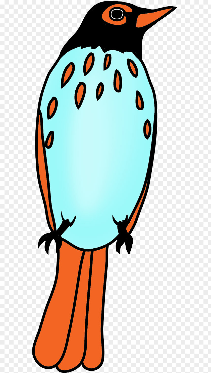 Drawing Color Bird Beak Clip Art PNG