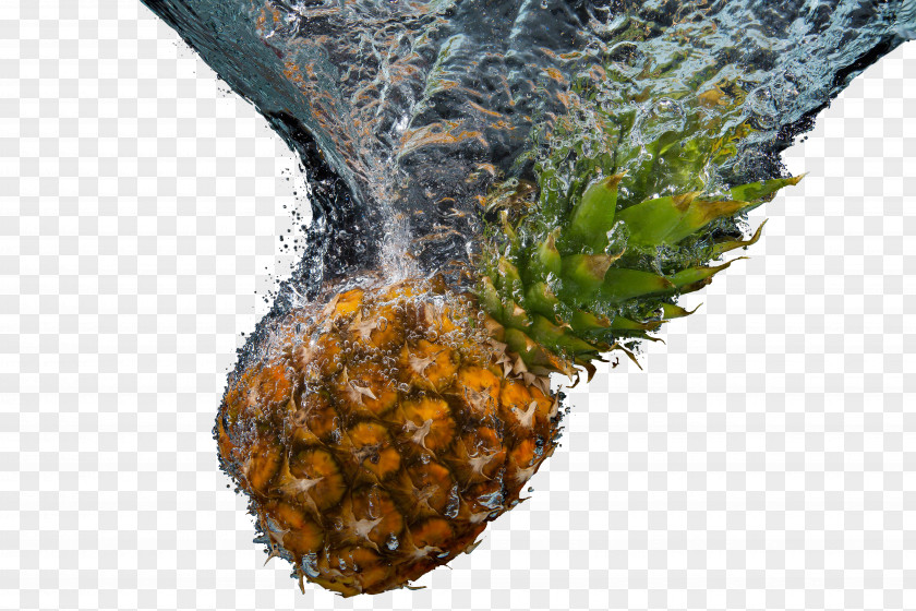 Fruits And Water Pineapple Limeade Fruit Stock.xchng PNG