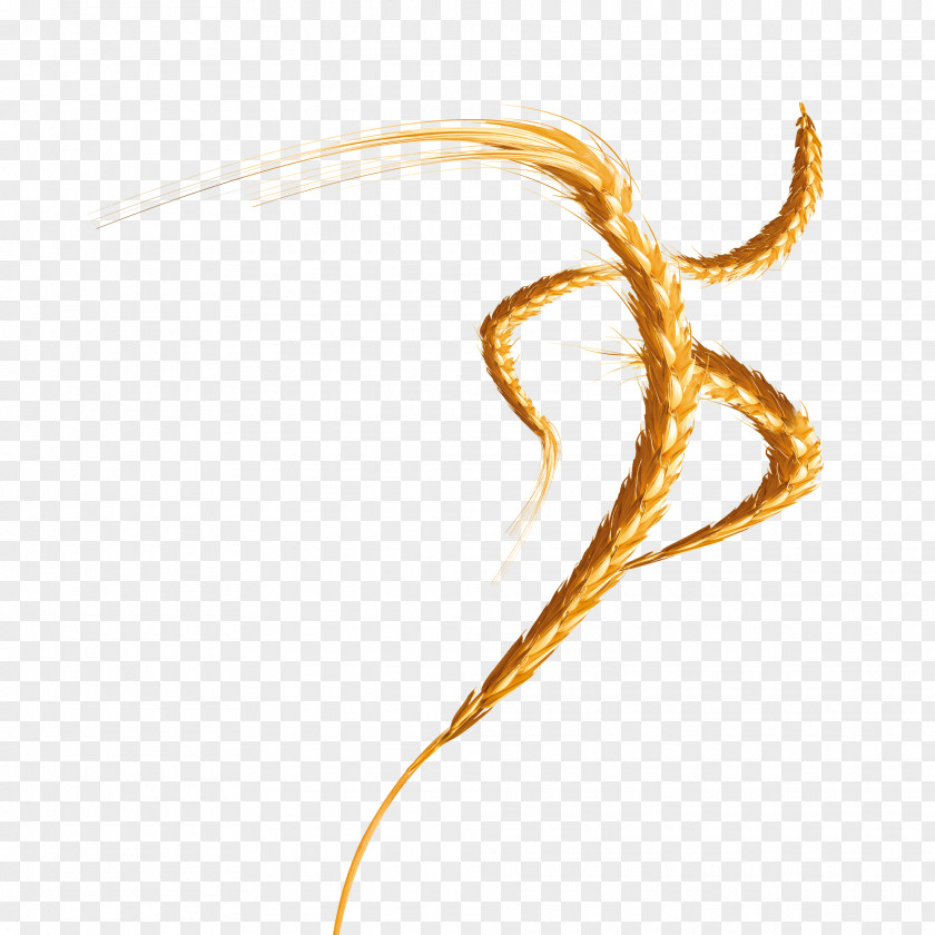 Golden Wings Of Wheat Crop Computer File PNG