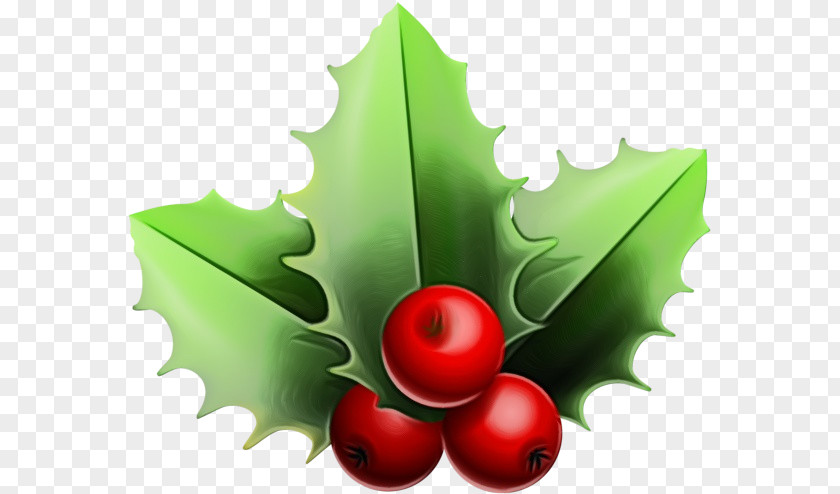 Holly PNG