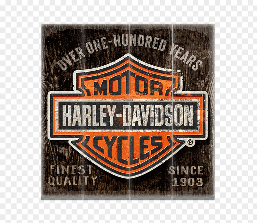 Motorcycle Classic Harley-Davidson Custom Gail's PNG