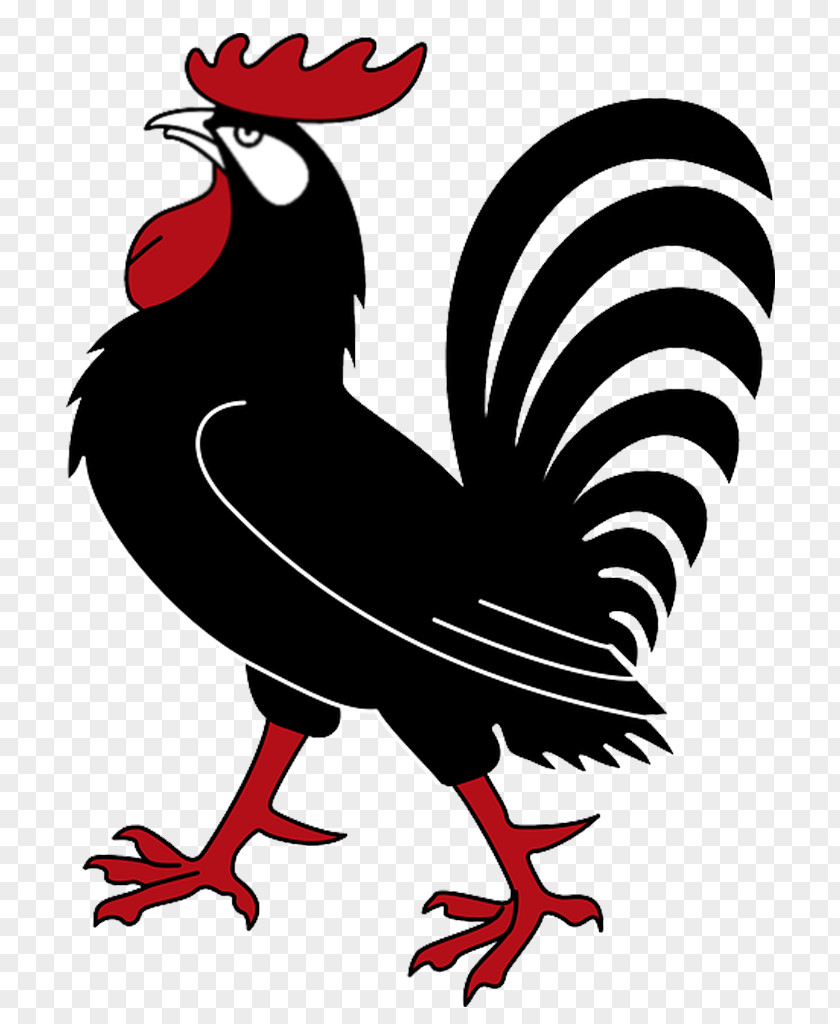 Rooster Drawing Clip Art PNG