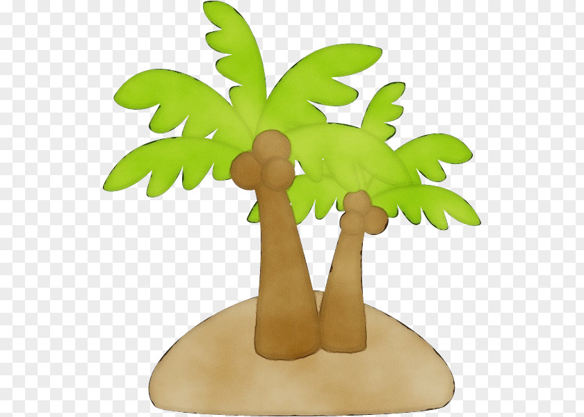 Vascular Plant Branch Coconut Tree Drawing PNG
