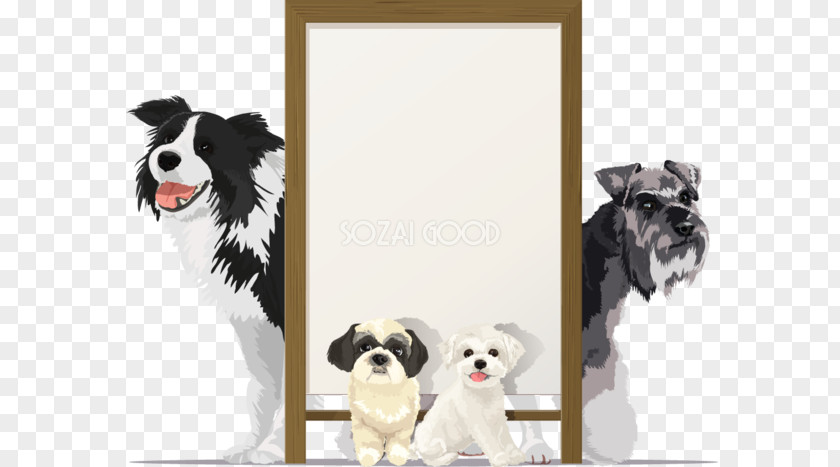 Dog Illust Border Collie Breed Maltese Illustration PNG