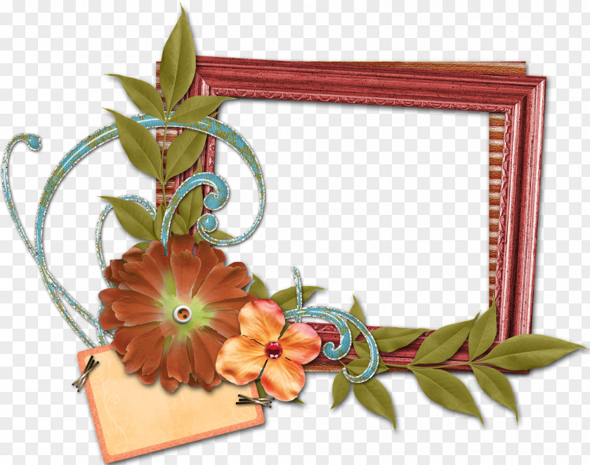 Foto Picture Frames Digital Photography PNG
