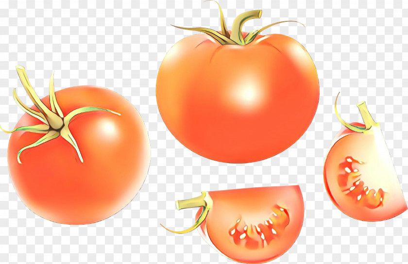 Plant Bush Tomato PNG