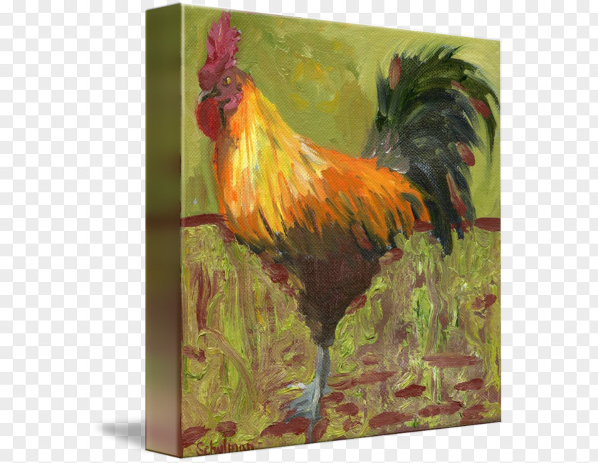 Thumbs Chicken Painting Rooster Oil Paint Art PNG