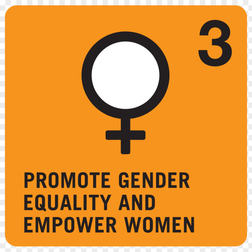 Woman Millennium Development Goals Logo Gender Equality International United Nations Programme PNG