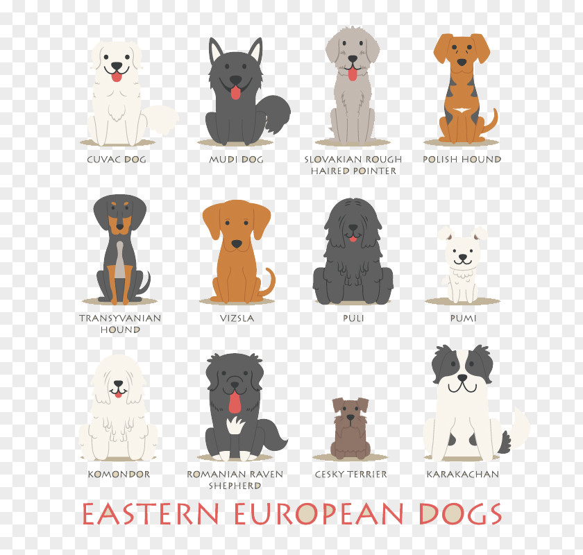 12 Eastern European Cartoon Dog Design Vector Material Polish Hound Basset Dachshund Puppy Europe PNG
