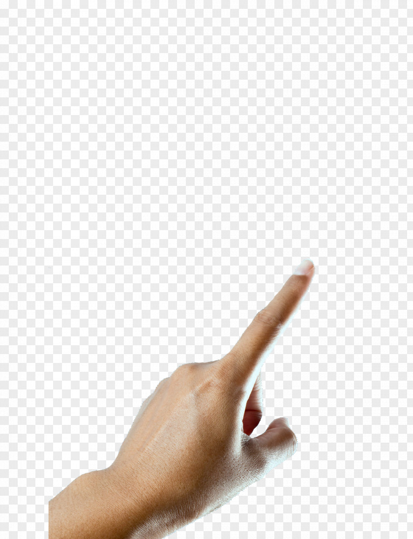 Arm Hand Model Finger Thumb PNG