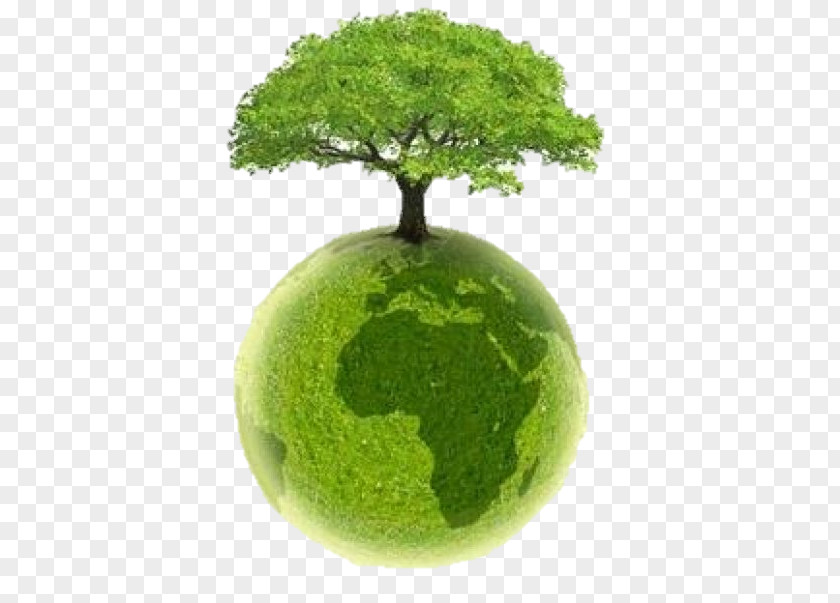 Earth Green Natural Environment Environmentally Friendly Ecology PNG