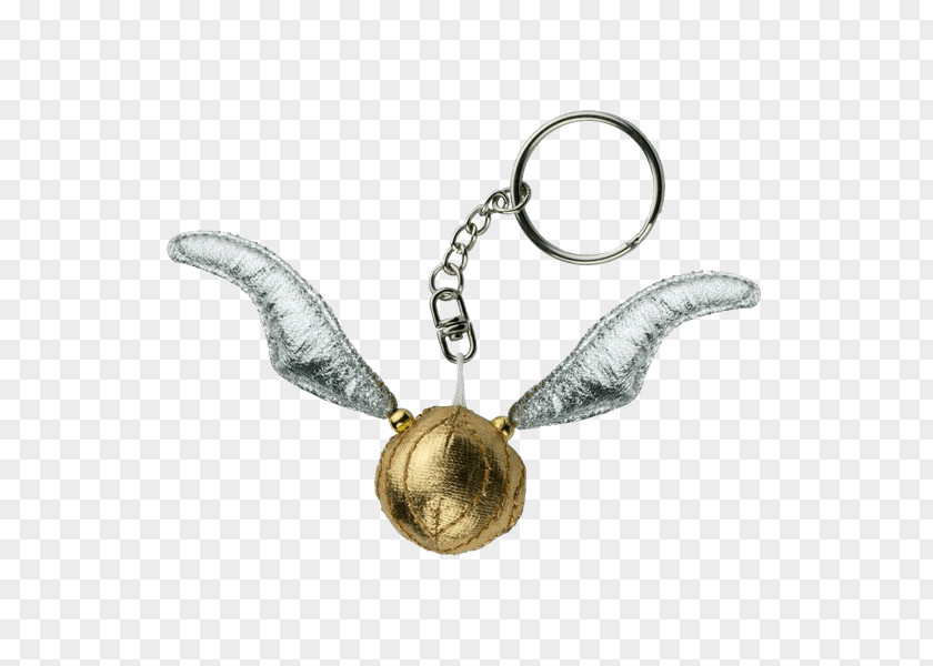 House Keychain Draco Malfoy Lord Voldemort Harry Potter Ravenclaw Gryffindor PNG