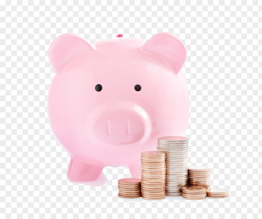 Piggy Bank Money Coin Stock Photography PNG