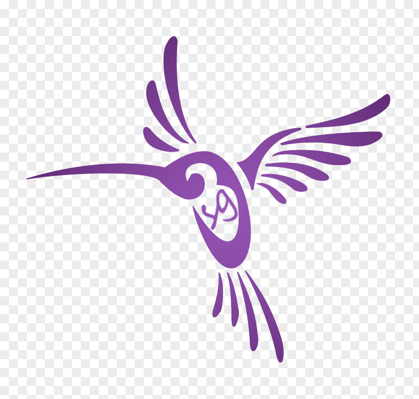 Bird Hummingbird Drawing Clip Art PNG