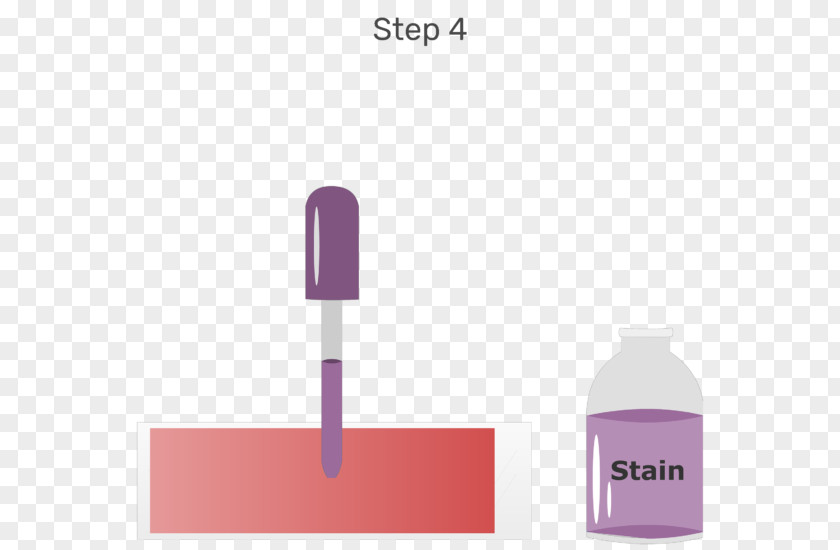 Blood Wright's Stain Film Cell Staining PNG