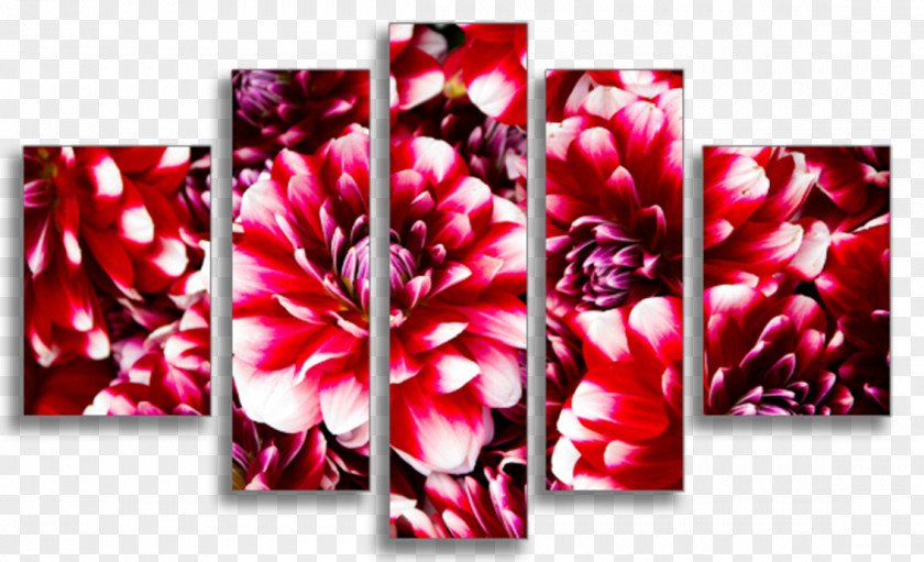 Design Floral Greeting & Note Cards Art Poster Font PNG