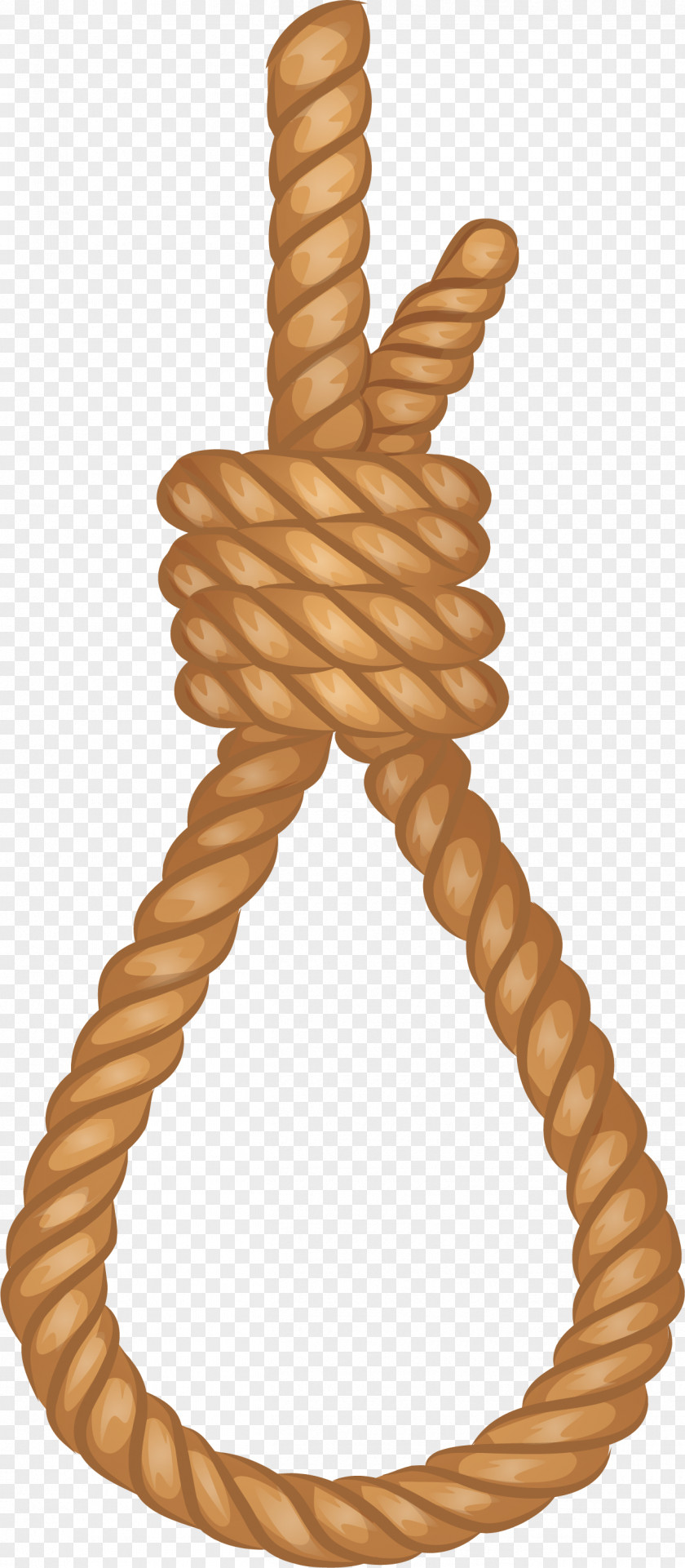 Hanging Rope Computer File PNG