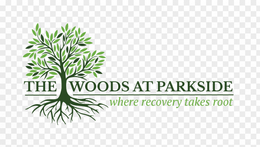 Into The Woods Review At Parkside Healing Environments Substance Dependence Hospital Disease PNG