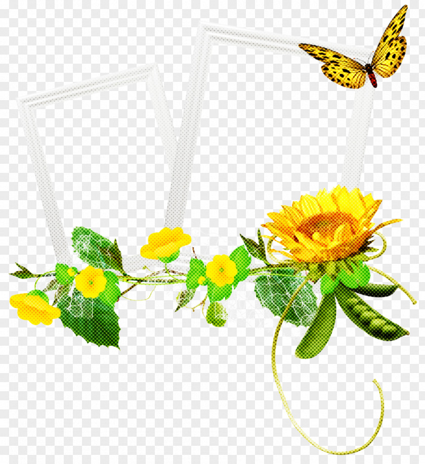 Moths And Butterflies Wildflower Watercolor Butterfly Background PNG