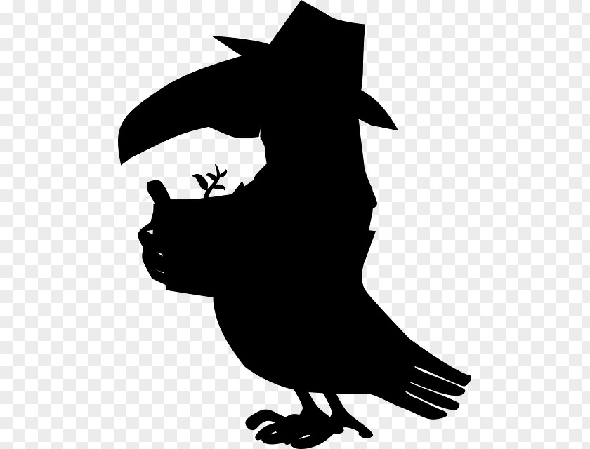 Bird Beak Toucan Image PNG