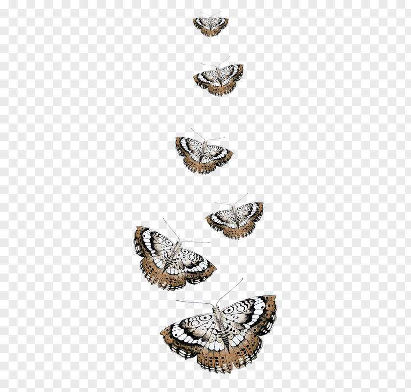 Butterfly Clip Art PNG