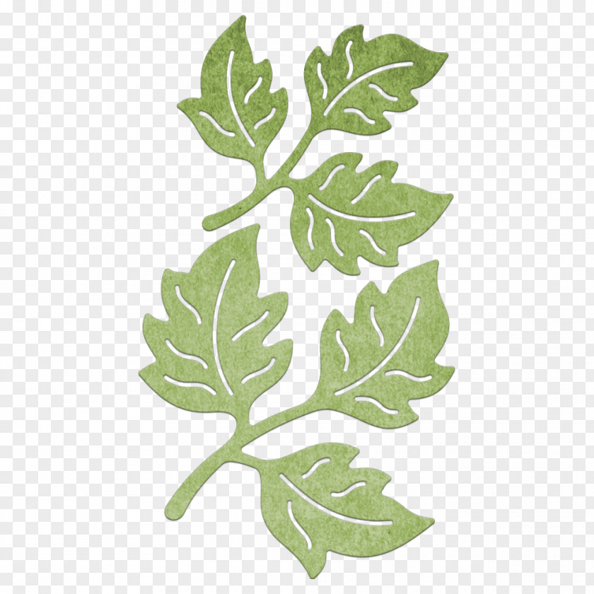 Flour Cheery Lynn Designs West Road Leaf Vegetable Paper PNG