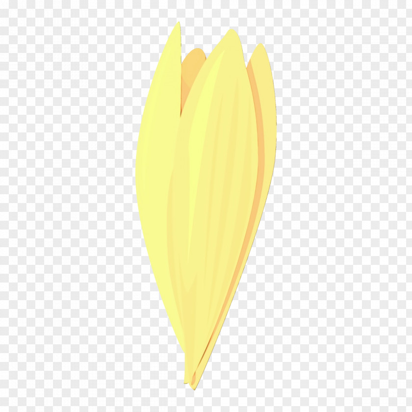 Flower Plant Yellow Leaf Petal PNG