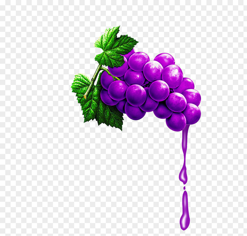 Juice Grape Grapevines Fruit PNG