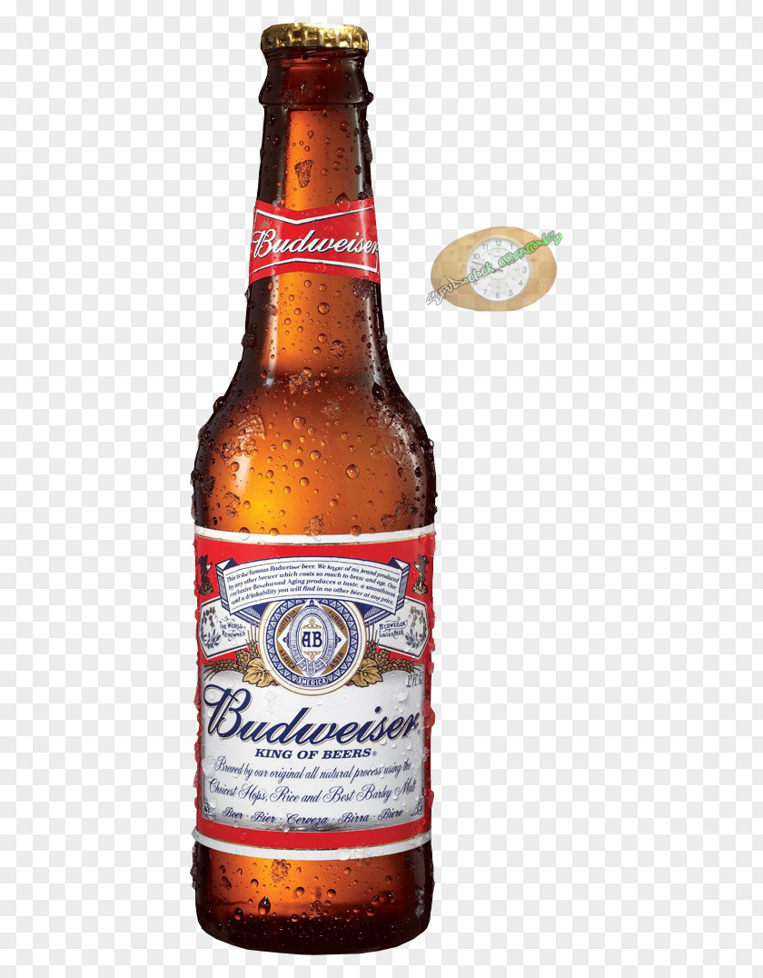 Beer Budweiser Anheuser-Busch Lager Distilled Beverage PNG
