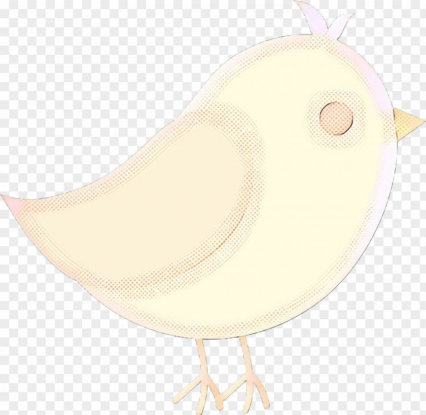 Feather Beak Water Bird Neck PNG