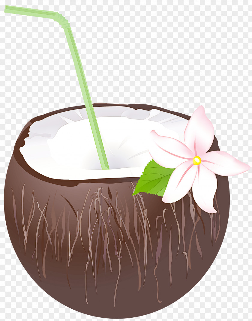 Flowerpot Orchids Flower Houseplant Vase PNG